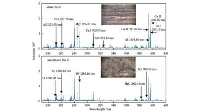 页岩与砂岩样本的典型光谱