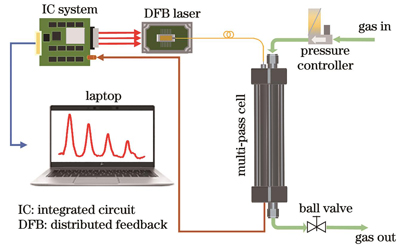 实验系统原理图