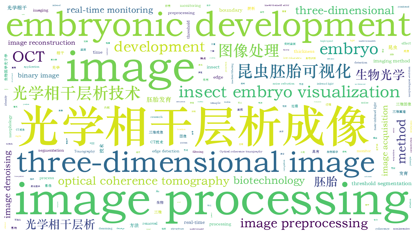 本文词云图(由AI自动生成)