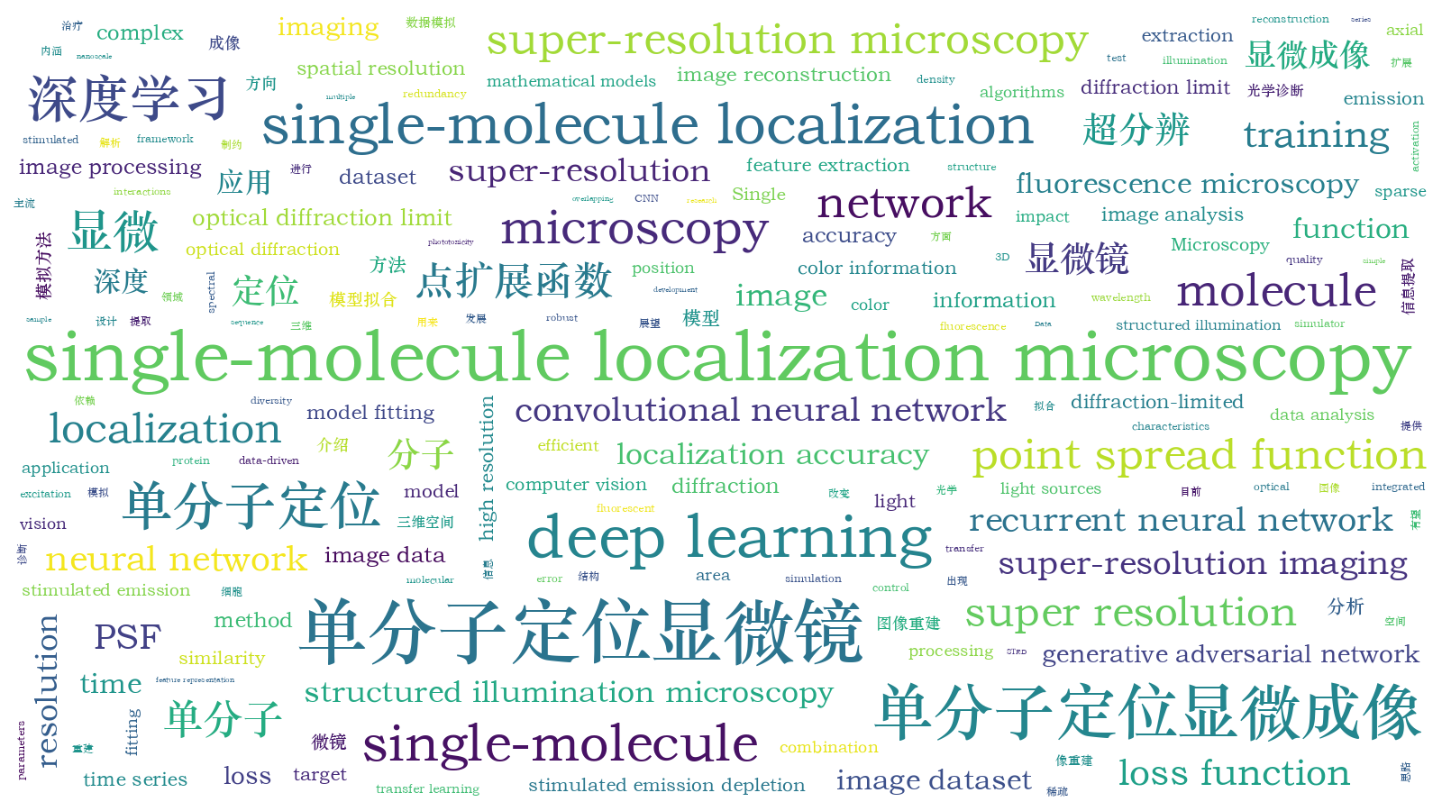本文词云图(由AI自动生成)