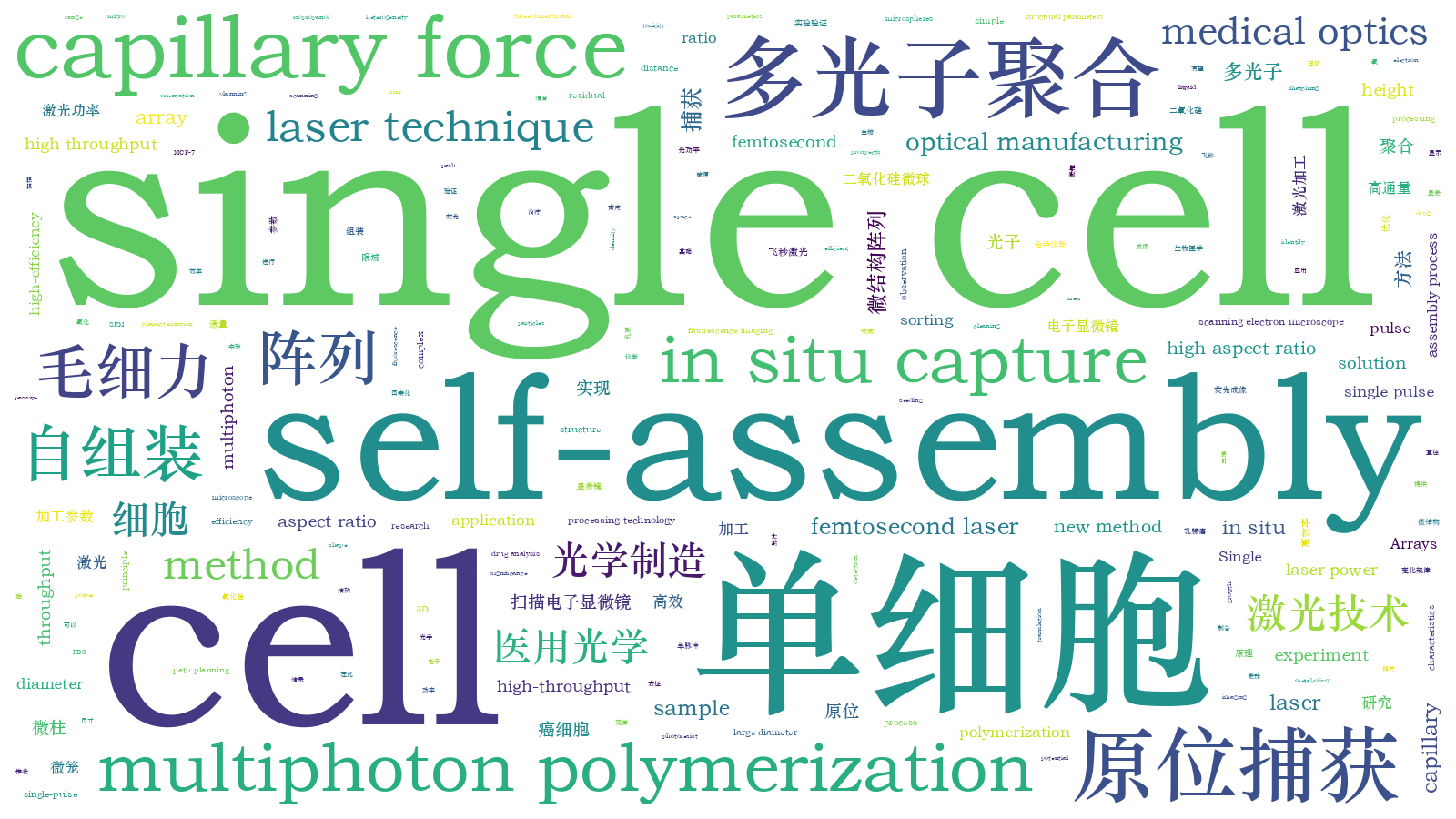 本文词云图(由AI自动生成)