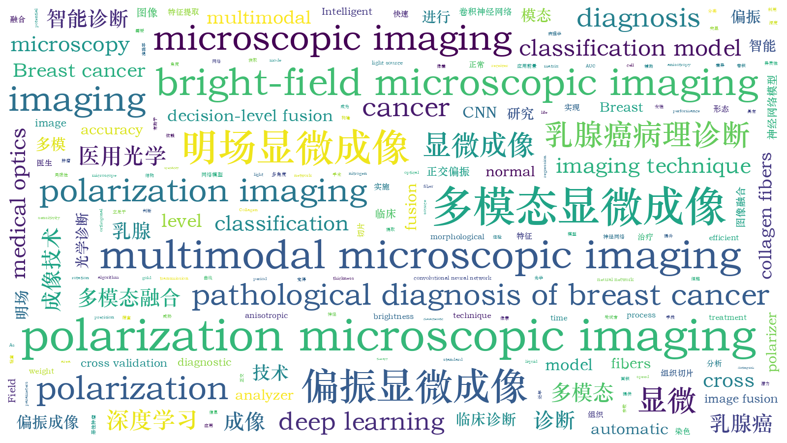 本文词云图(由AI自动生成)