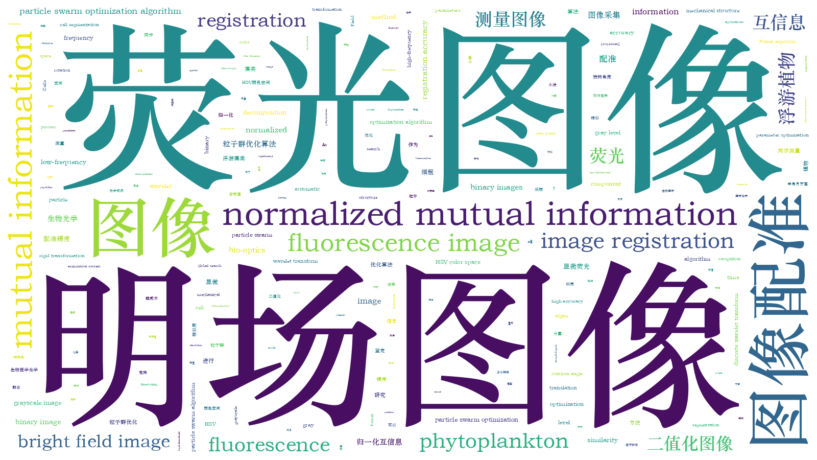 本文词云图(由AI自动生成)