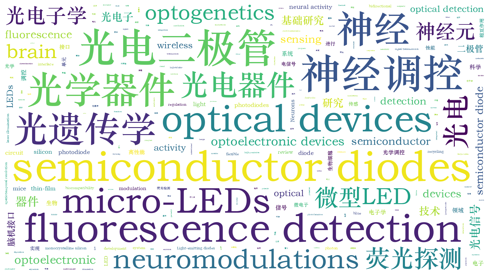 本文词云图(由AI自动生成)