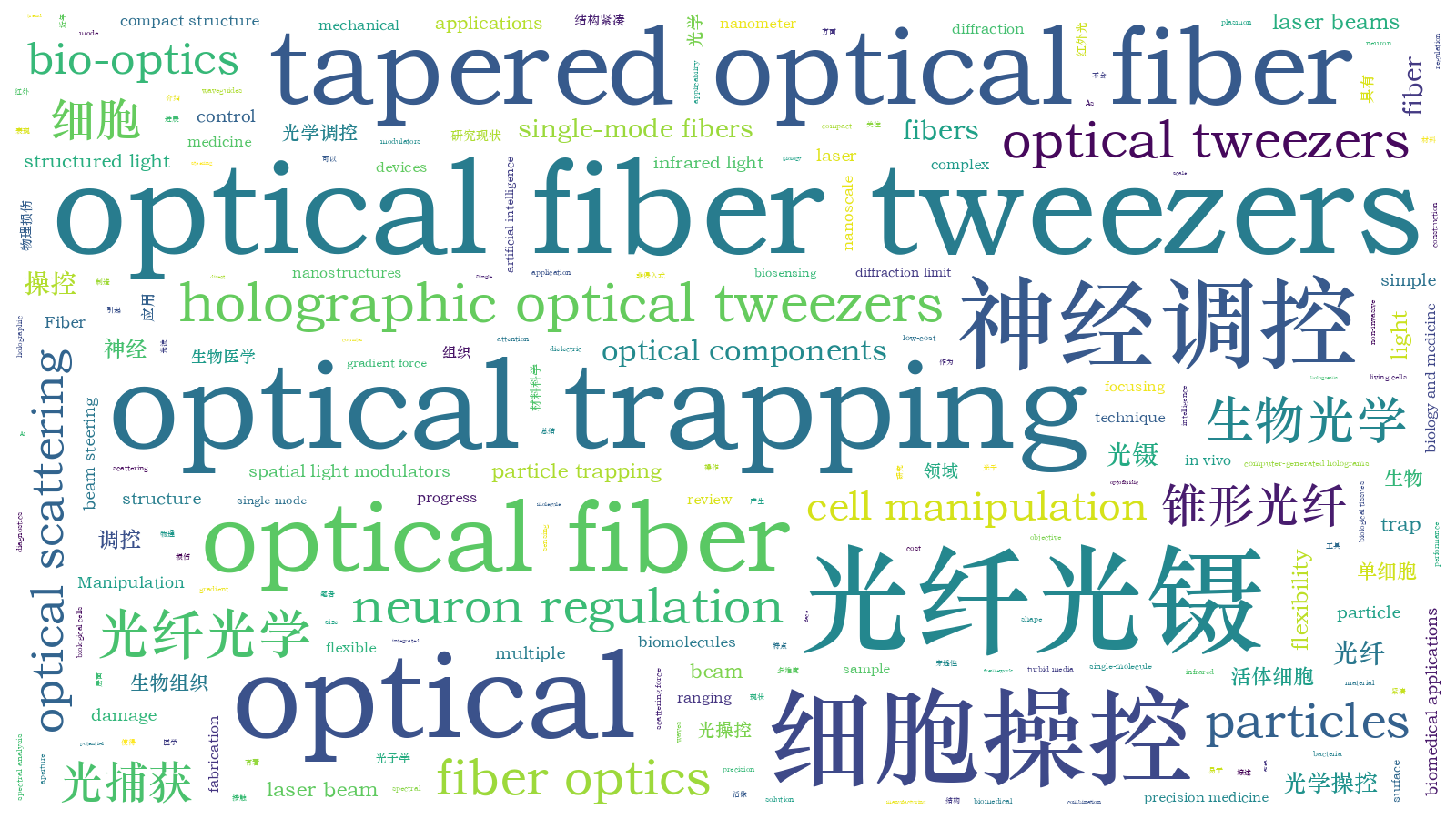 本文词云图(由AI自动生成)