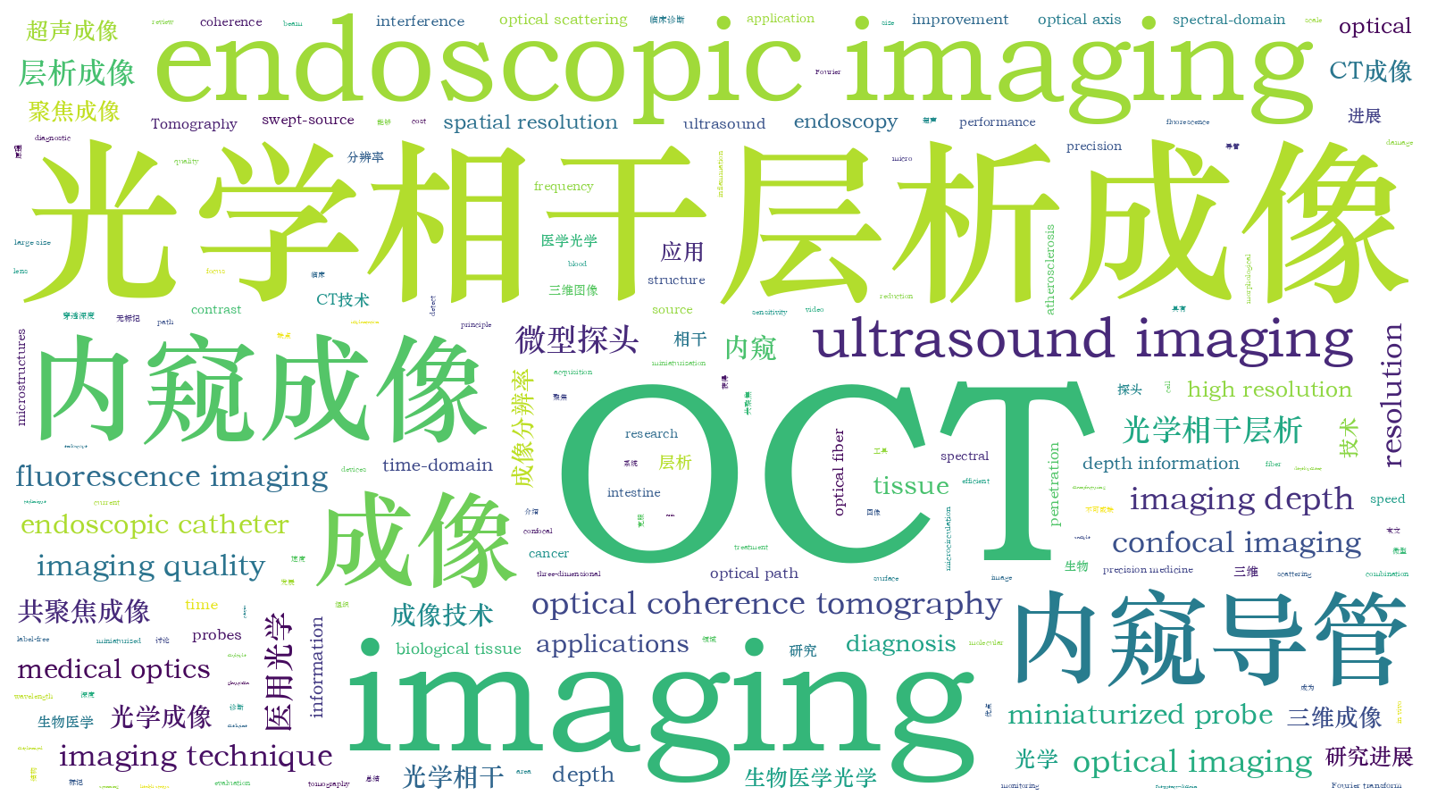 本文词云图(由AI自动生成)