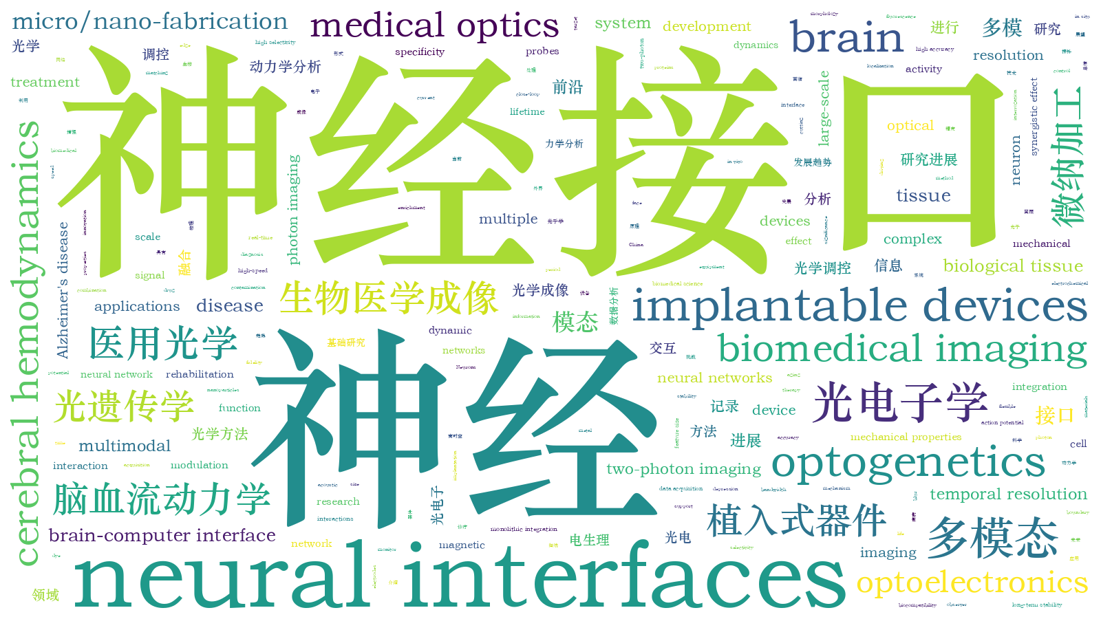本文词云图(由AI自动生成)