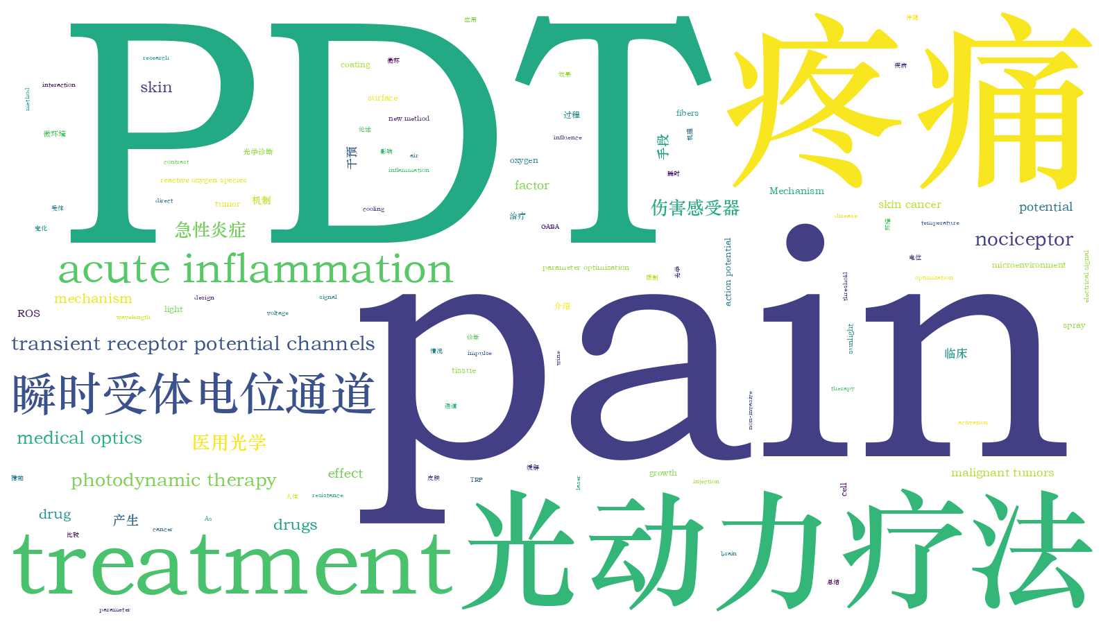 本文词云图(由AI自动生成)