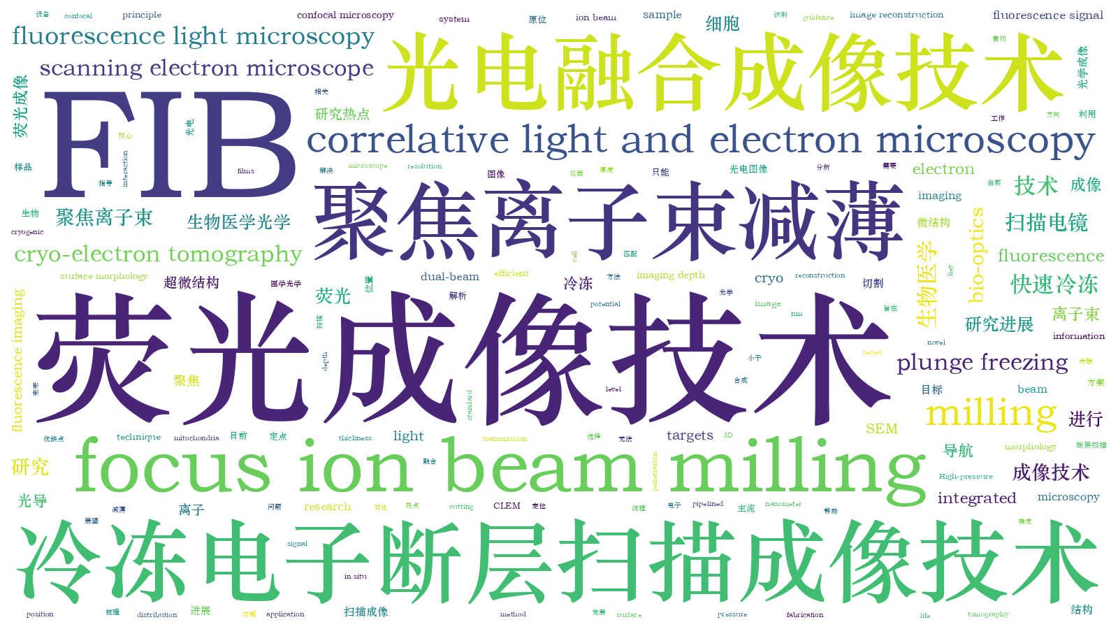 本文词云图(由AI自动生成)