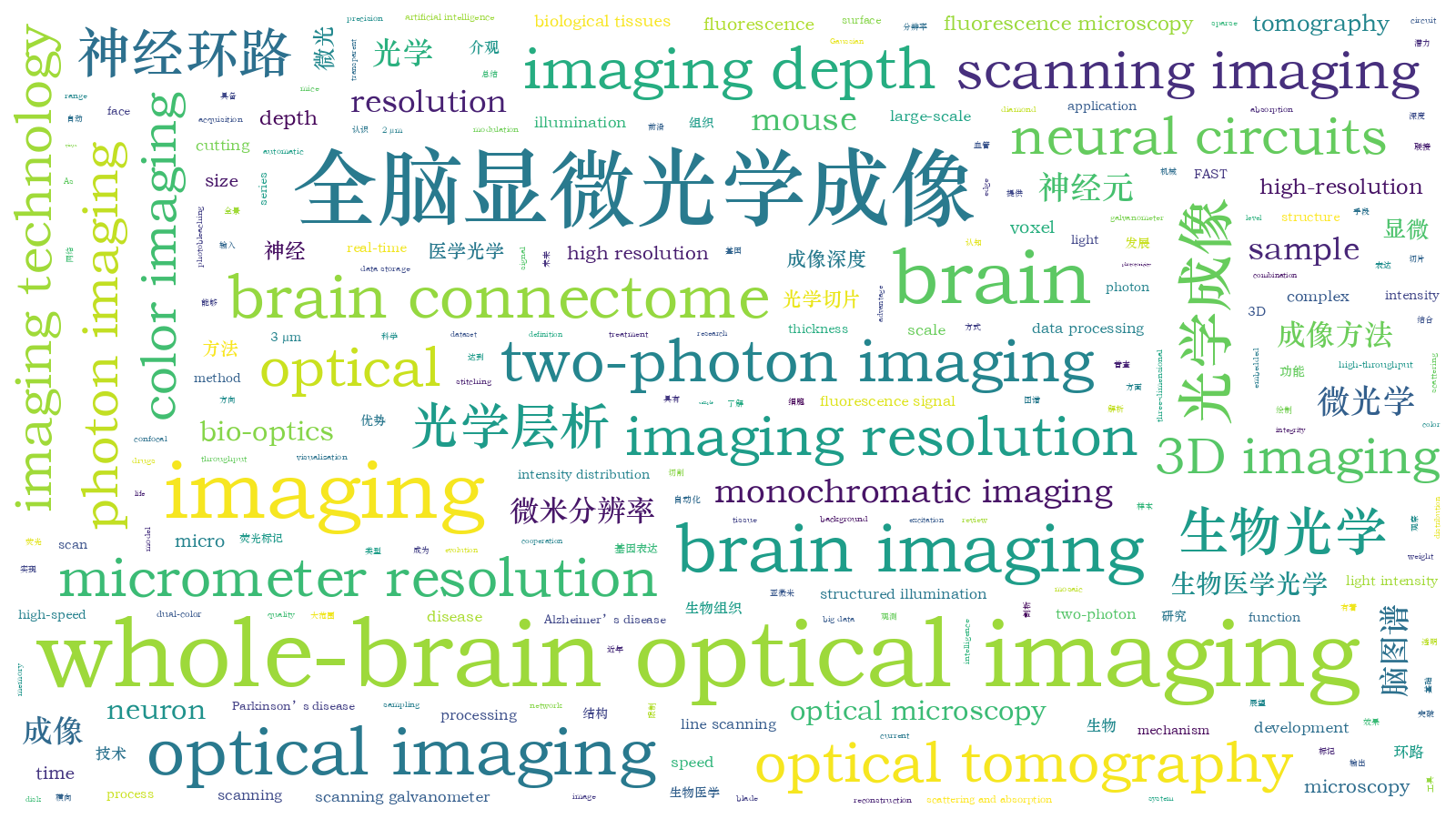 本文词云图(由AI自动生成)