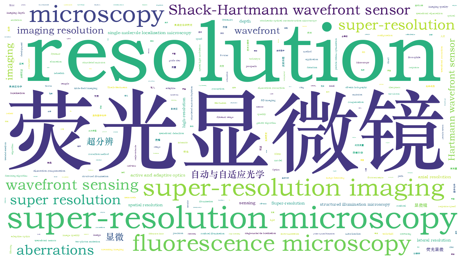 本文词云图(由AI自动生成)