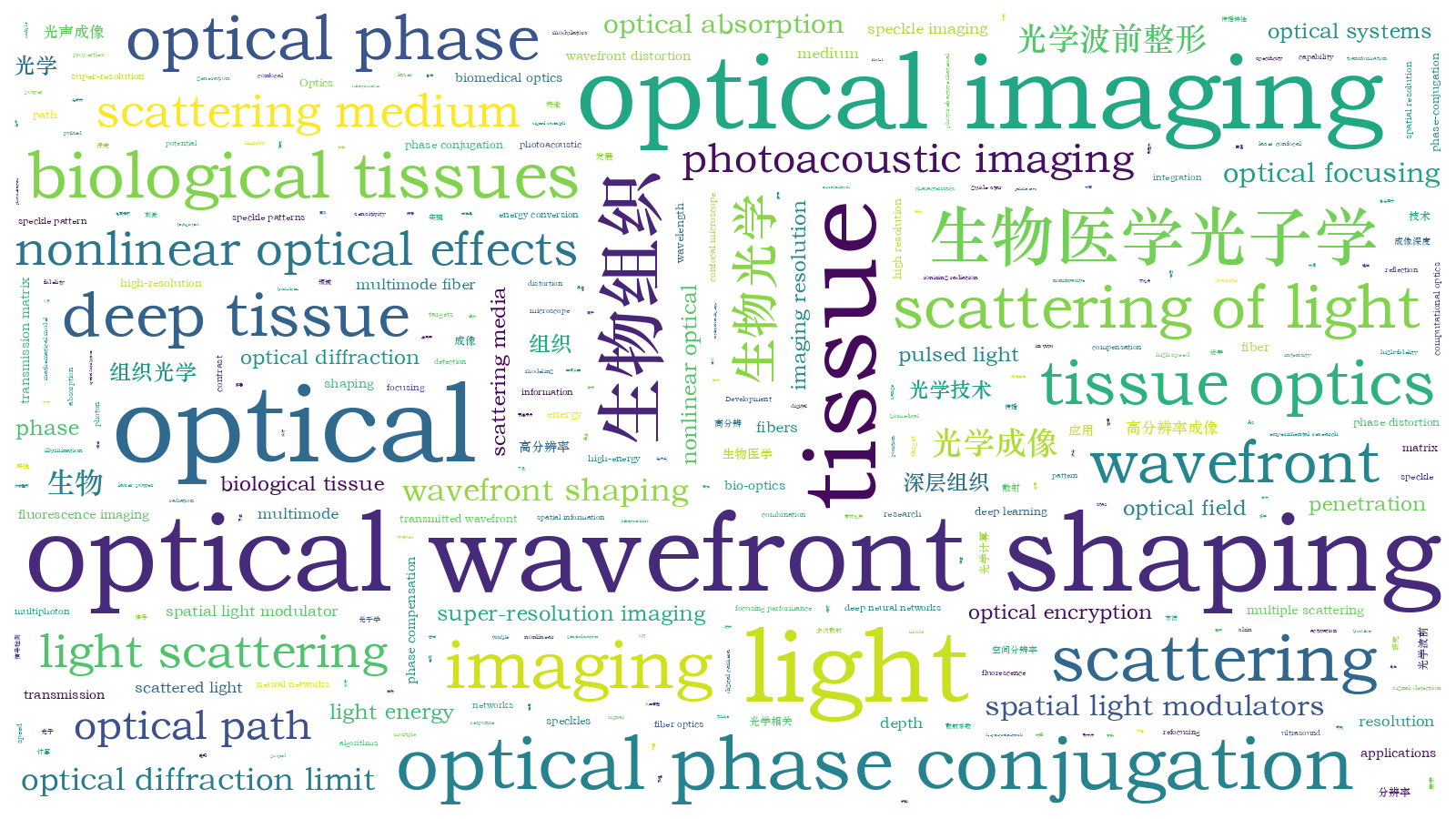 本文词云图(由AI自动生成)