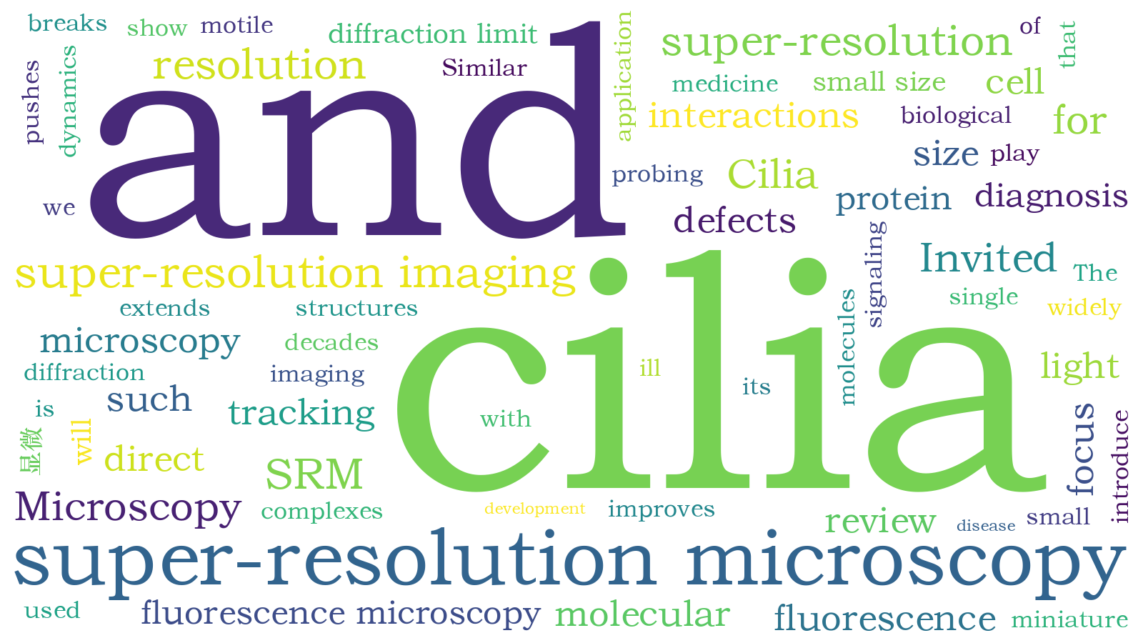 本文词云图(由AI自动生成)