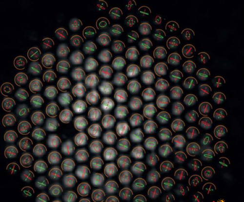 一种用于多芯光纤实时成像的快速,廉价技术