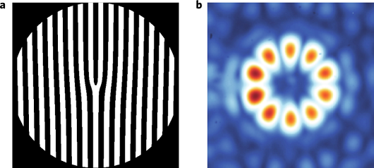 图2:衍射光栅和oam模式.a,二元衍射叉位错光栅.